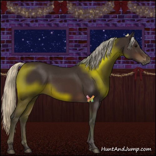Horse Color:Silver Brown 