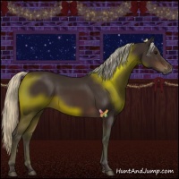 Horse Color:Silver Brown 