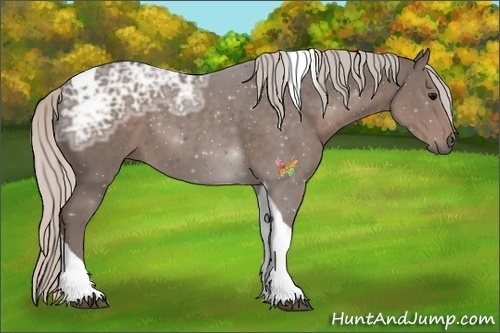 Horse Color:Silver Black Ice Sabino Tobiano 