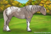 Horse Color:Silver Black Ice Sabino Tobiano 