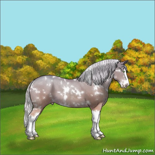 Horse Color:White Spotted Silver Amber Champagne Splash 