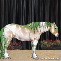 Horse Color:Watercolor White Spotted Brown Onyx