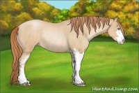 Horse Color:Smoky Black Pearl Sabino Rabicano 