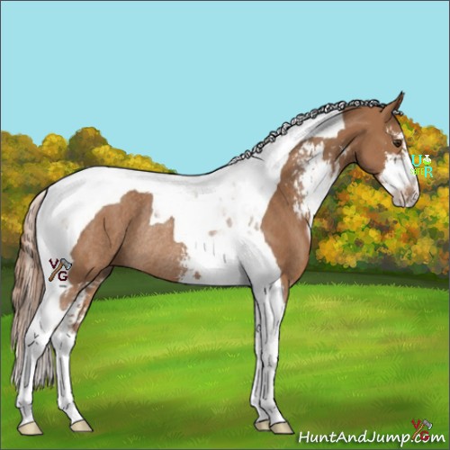 Horse Color:Chestnut Sabino Tobiano Rabicano 