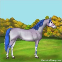 Horse Color:Watercolor Bay Roan Onyx 