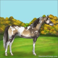 Horse Color:White Spotted Smoky Blue Onyx 