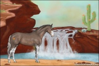 Horse Color:Silver Black Sabino 