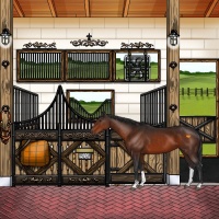 Horse Color:Brown Sabino 