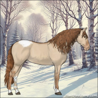Horse Color:Red Dun Varnish 