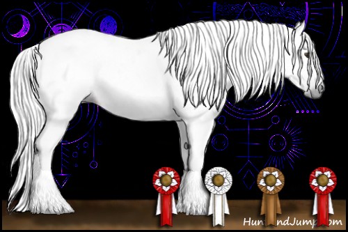 Horse Color:Gray White Spotted Liver Chestnut Tobiano 