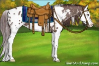 Horse Color:White Spotted Chocolate Grullo Splash Appaloosa 