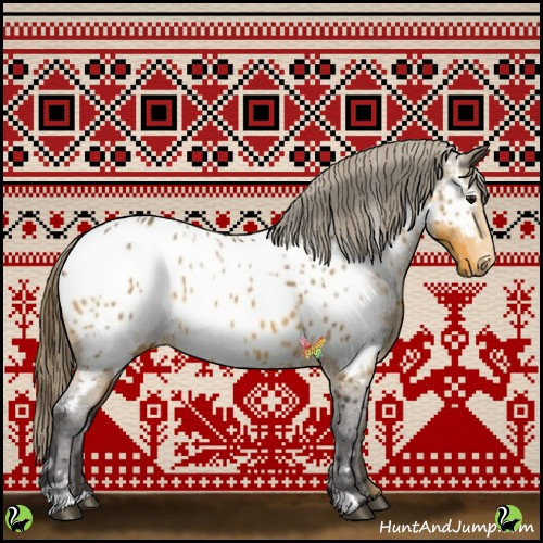 Horse Color:White Spotted Buckskin Appaloosa 