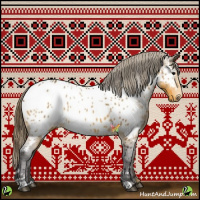 Horse Color:White Spotted Buckskin Appaloosa 