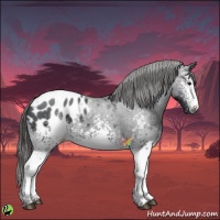Horse Color:White Spotted Black Blanket 