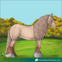 Horse Color:Gold Champagne Dun Tobiano 