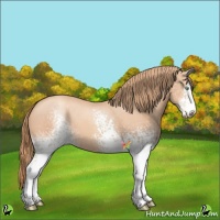 Horse Color:White Spotted Gold Champagne 