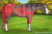 Horse Color:Nacre Blue Roan Splash Rabicano 