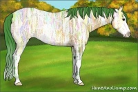 Horse Color:Watercolor Bay Ice Roan Sabino