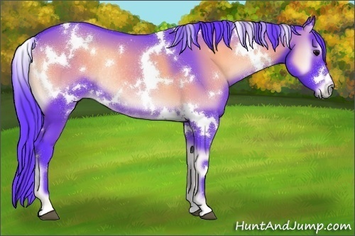 Horse Color:Watercolor White Spotted Blue Onyx Rabicano 