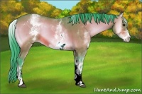 Horse Color:Watercolor White Spotted Bay Onyx 