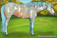 Horse Color:Watercolor White Spotted Bay 