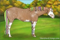Horse Color:Painted Chestnut Splash