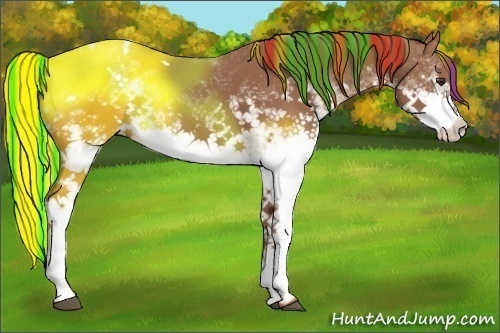 Horse Color:Painted White Spotted Chestnut Rabicano