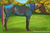 Horse Color:Painted White Spotted Liver Chestnut Rabicano 