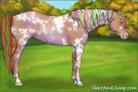 Horse Color:Painted White Spotted Gold Champagne Rabicano 