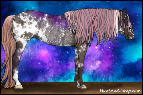 Horse Color:Painted White Spotted Liver Chestnut Rabicano 