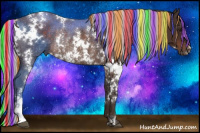 Horse Color:Painted White Spotted Silver Brown Rabicano 