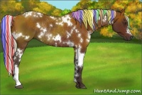 Horse Color:Painted White Spotted Silver Brown Rabicano