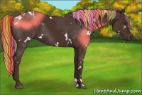 Horse Color:Painted White Spotted Liver Chestnut Rabicano 