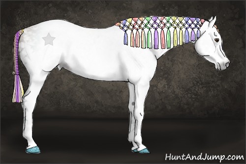 Horse Color:Gray Painted White Spotted Chestnut Rabicano 