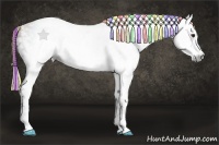 Horse Color:Gray Painted White Spotted Chestnut Rabicano 