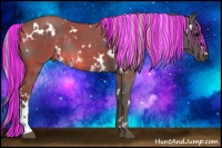 Horse Color:Painted White Spotted Silver Black Rabicano 