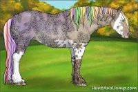 Horse Color:Painted Gold Champagne Ice Roan Dun Splash Rabicano 