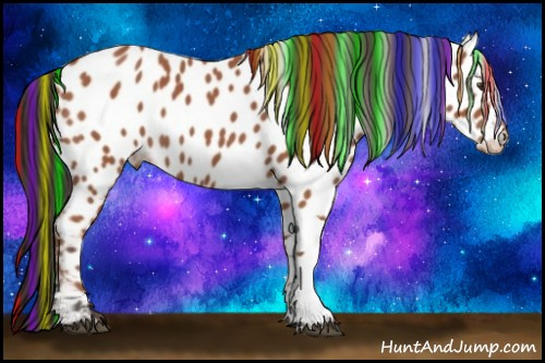 Horse Color:Painted Bay Roan Appaloosa 