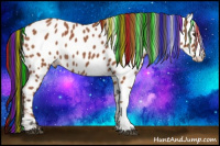 Horse Color:Painted Bay Roan Near Leopard 