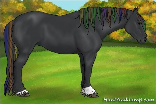 Horse Color:Painted Black 