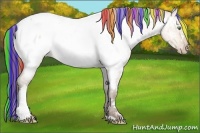 Horse Color:Painted Amber Champagne Roan Dun Appaloosa 