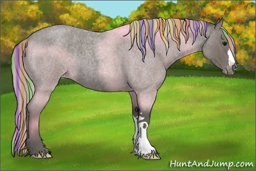 Horse Color:Painted Silver Blue Roan Appaloosa