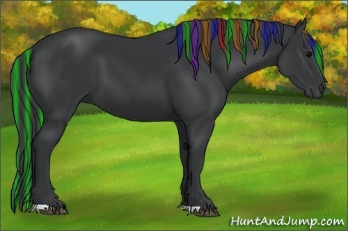 Horse Color:Painted Black 