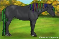 Horse Color:Painted Black 