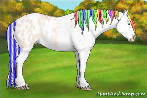 Horse Color:Painted Silver Amber Champagne Dun Appaloosa Rabicano 