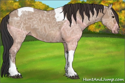 Horse Color:Bay Ice Dun Tobiano 