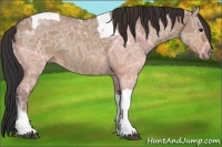 Horse Color:Bay Ice Dun Tobiano 