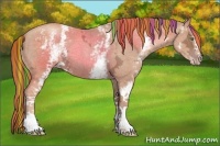Horse Color:Painted White Spotted Gold Champagne Ice Roan 