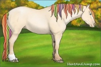 Horse Color:Painted Buckskin Pearl Dun 