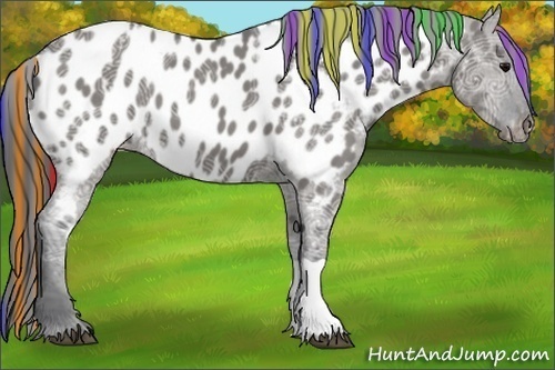 Horse Color:Painted Grullo Ice Appaloosa 